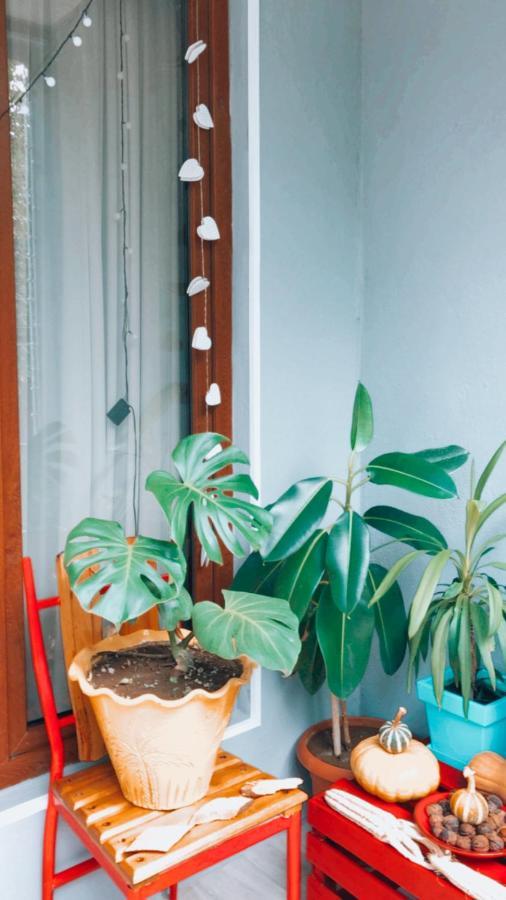 Sweet Apartment In คูทายสิ ภายนอก รูปภาพ
